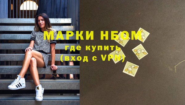 ПСИЛОЦИБИНОВЫЕ ГРИБЫ Инсар