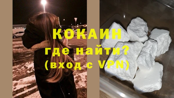 ПСИЛОЦИБИНОВЫЕ ГРИБЫ Инсар