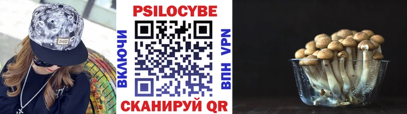 Псилоцибиновые грибы ЛСД  Купить закладки  Чегем 